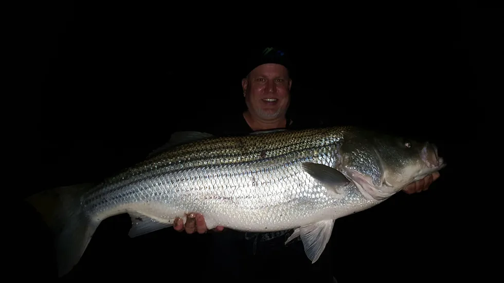 River Striper trips